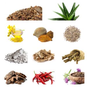 BellyFlush Review: Complete Guide to Gut Health
